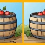 IQ-test: vind 3 verschillen in een foto van appels op een ton in 13 seconden IQ-test: vind 3 verschillen in een foto van appels op