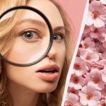 Slechts 1 procent van de mensen kan een konijn vinden in 11 seconden: een verrassend geraffineerde optische illusie Slechts 1 procent van de mensen kan een konijn vinden