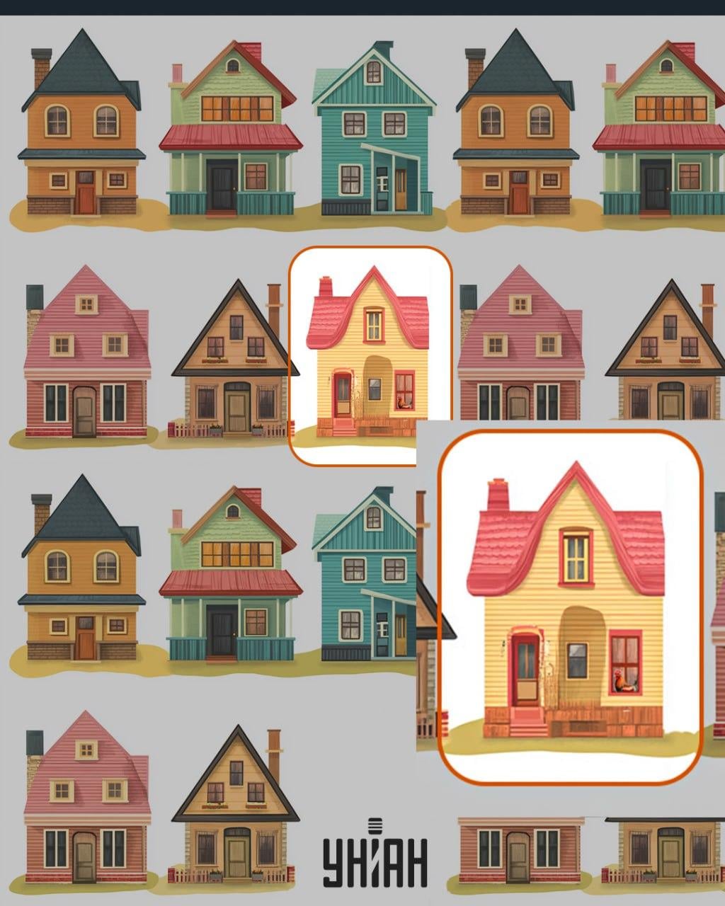 Een haan stond in het raam van een van de huizen / Moje collage