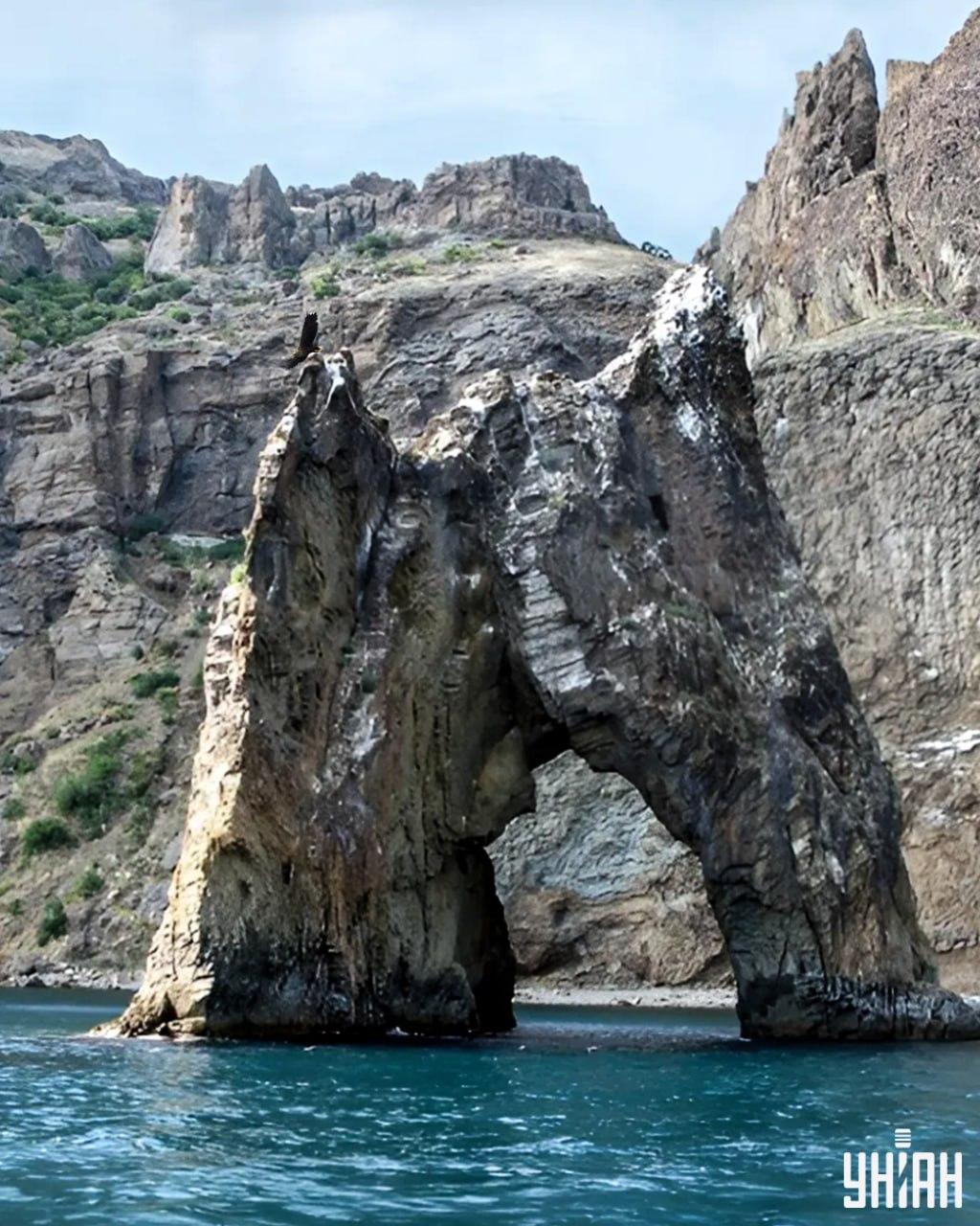 Het duurt minder dan 10 seconden om de adelaar te vinden in de puzzelafbeelding / collage met Moje foto