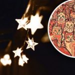 Optische illusie voor mensen met arendsogen: je moet een ster vinden tussen de katten Optische illusie voor mensen met arendsogen: je moet een ster